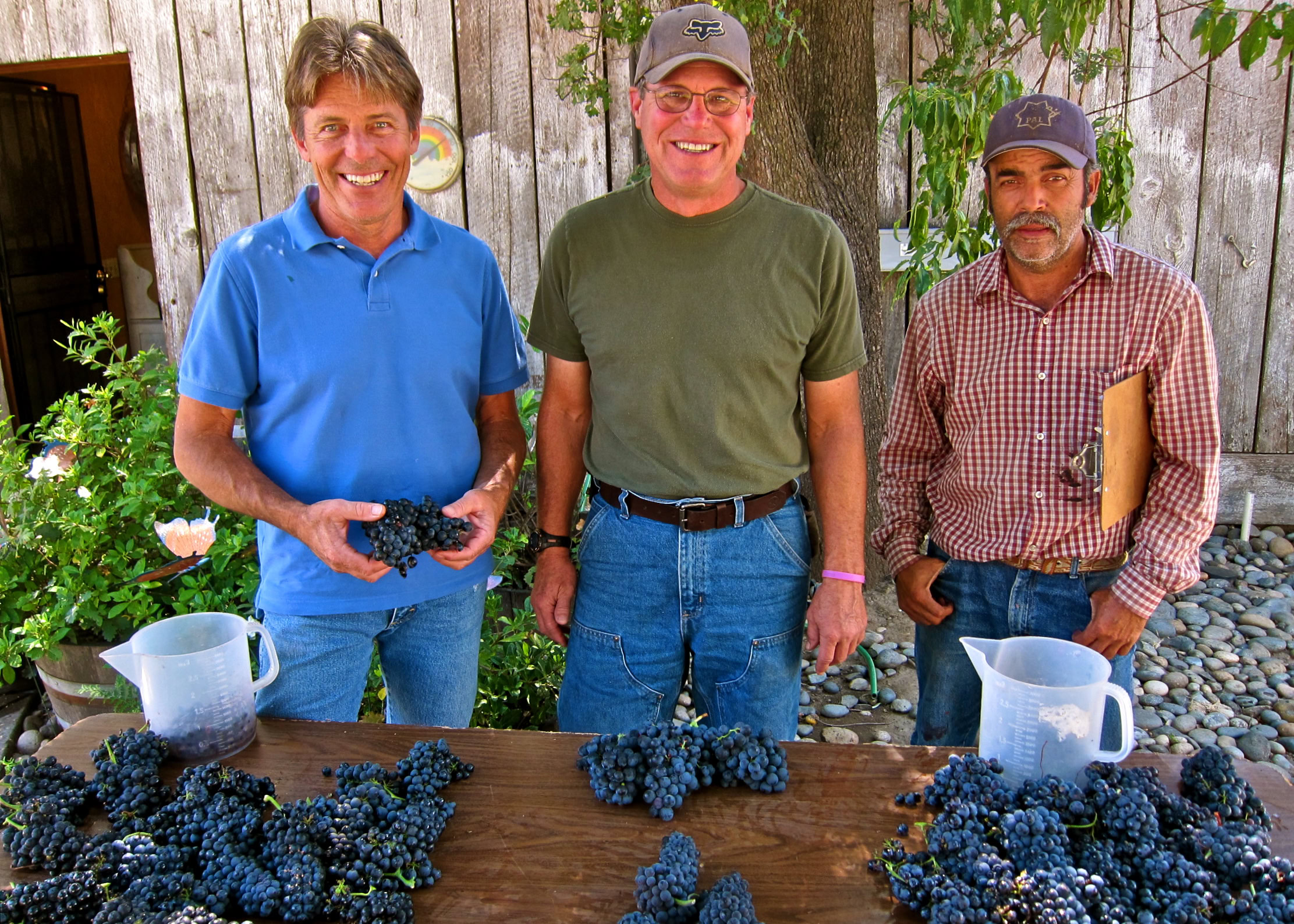 Three men smiling with grapes at a vineyard, celebrating wine harvest in Lodi, California.