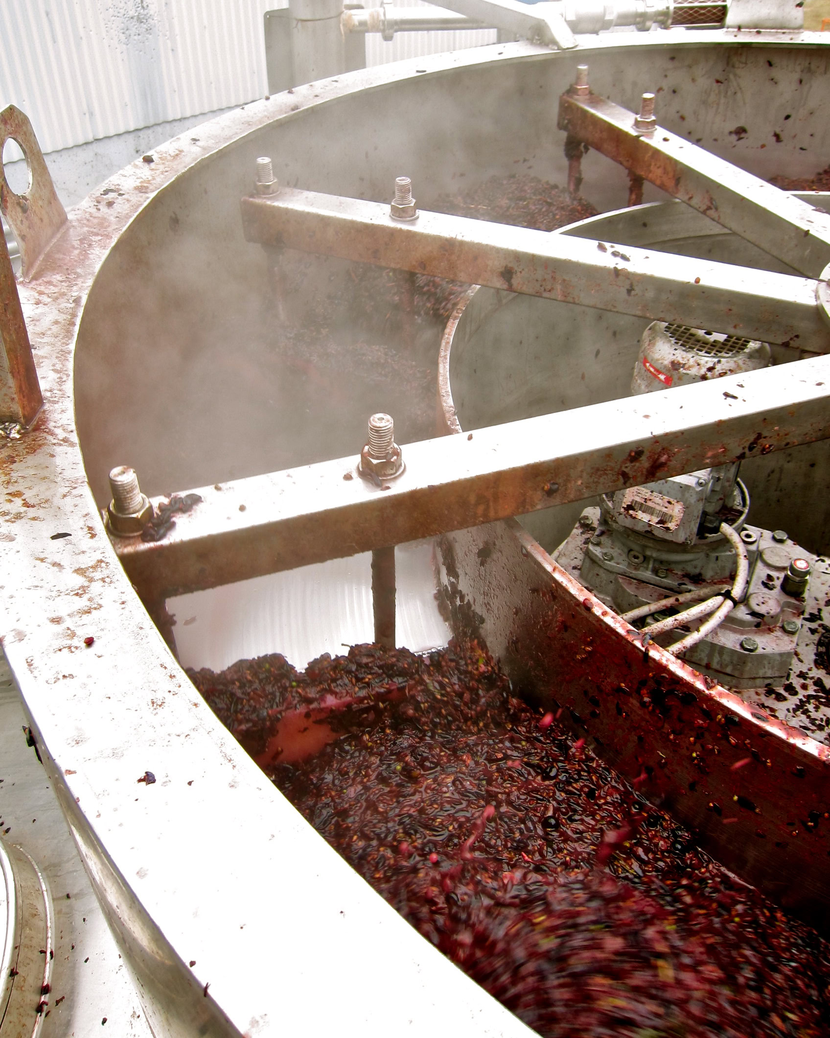 Industrial wine grape processing machine in action, crushing and fermenting grapes for wine production.
