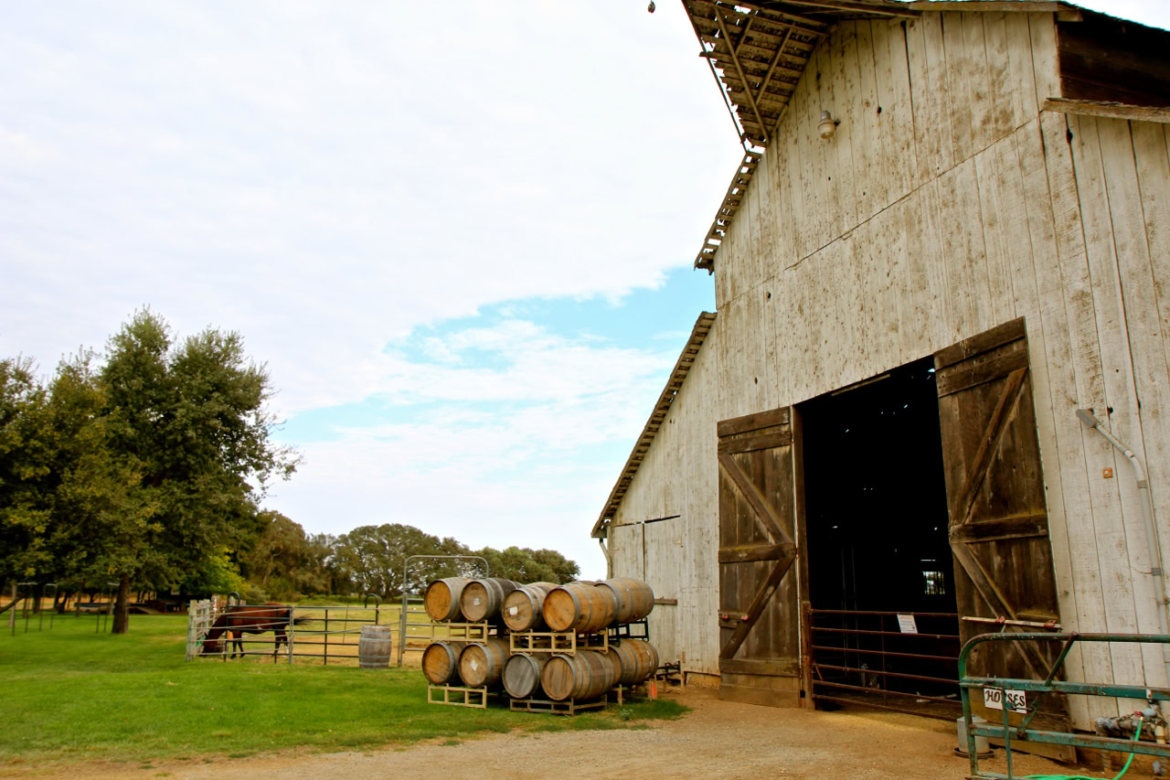 Vineyard barn with stacked wine barrels and lush green landscape in Lodi, California.