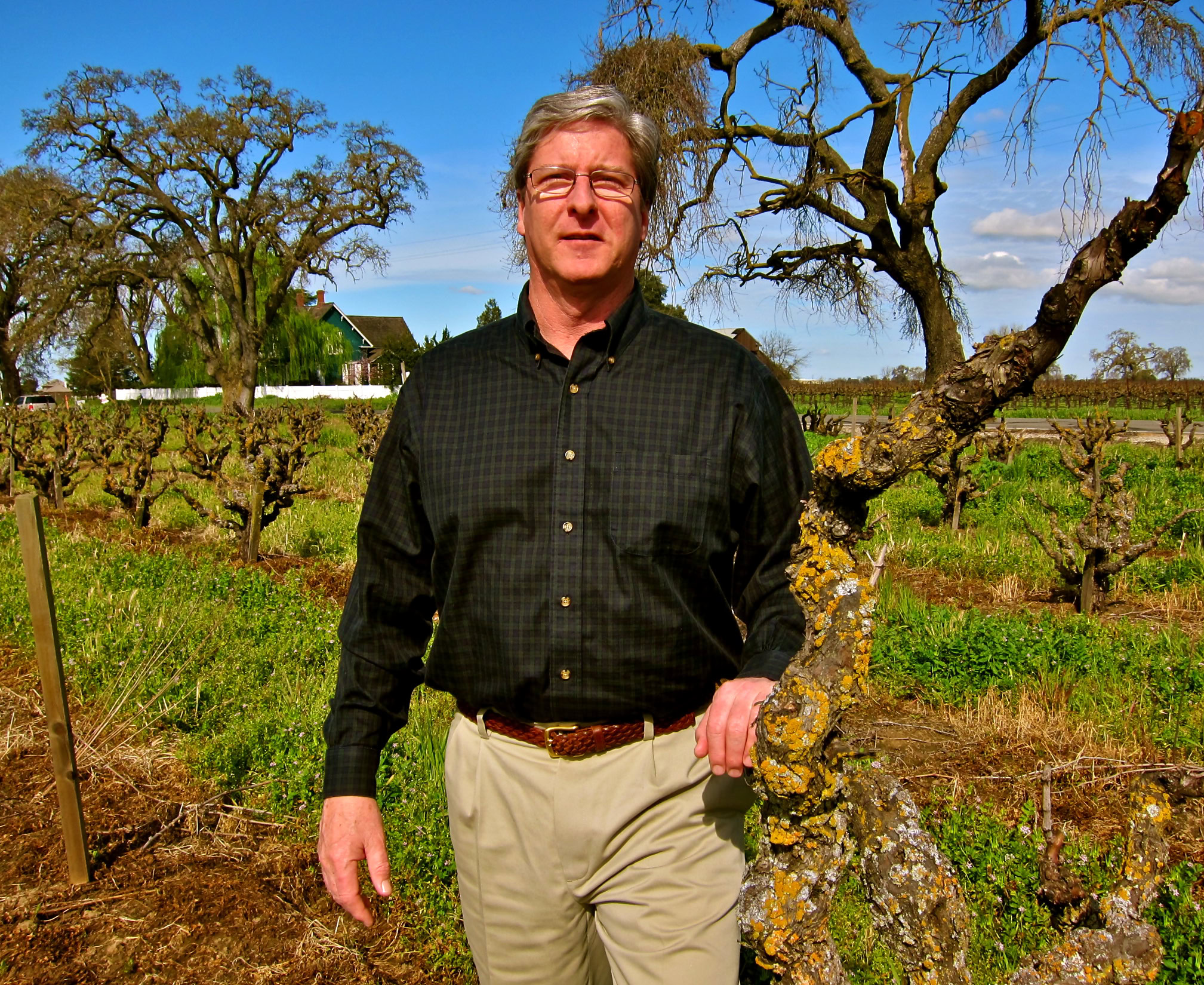 Man standing in a vineyard with grapevines and trees in Lodi, California, during sunny weather.