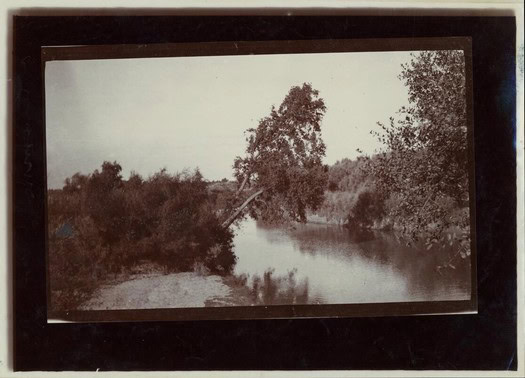 Scenic view of a river with trees and bushes, representing Lodi's vineyard landscape.