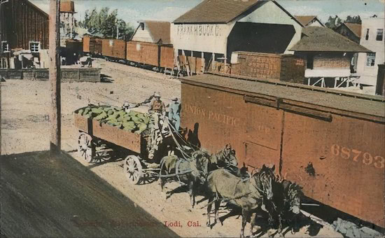 Vintage train with horse-drawn wagons in Lodi, California, showcasing early wine industry transportation methods.
