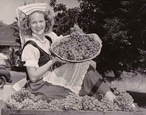 Vintage girl holding a large basket of grapes, surrounded by grape clusters, in a rural setting.