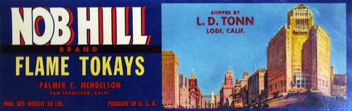 Vintage Lodi Winegrape Commission banner featuring Nob Hill Flame Tokays wine label and Lodi cityscape.