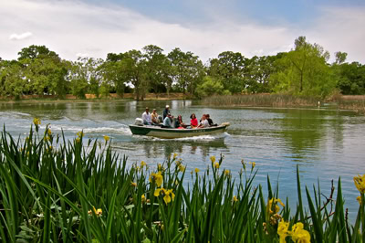 People riding a boat on a river with lush green trees and yellow flowers in the foreground.