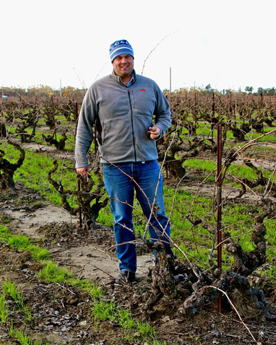 Vineyard worker in Lodi, California, inspecting grapevines in a vineyard during the day.