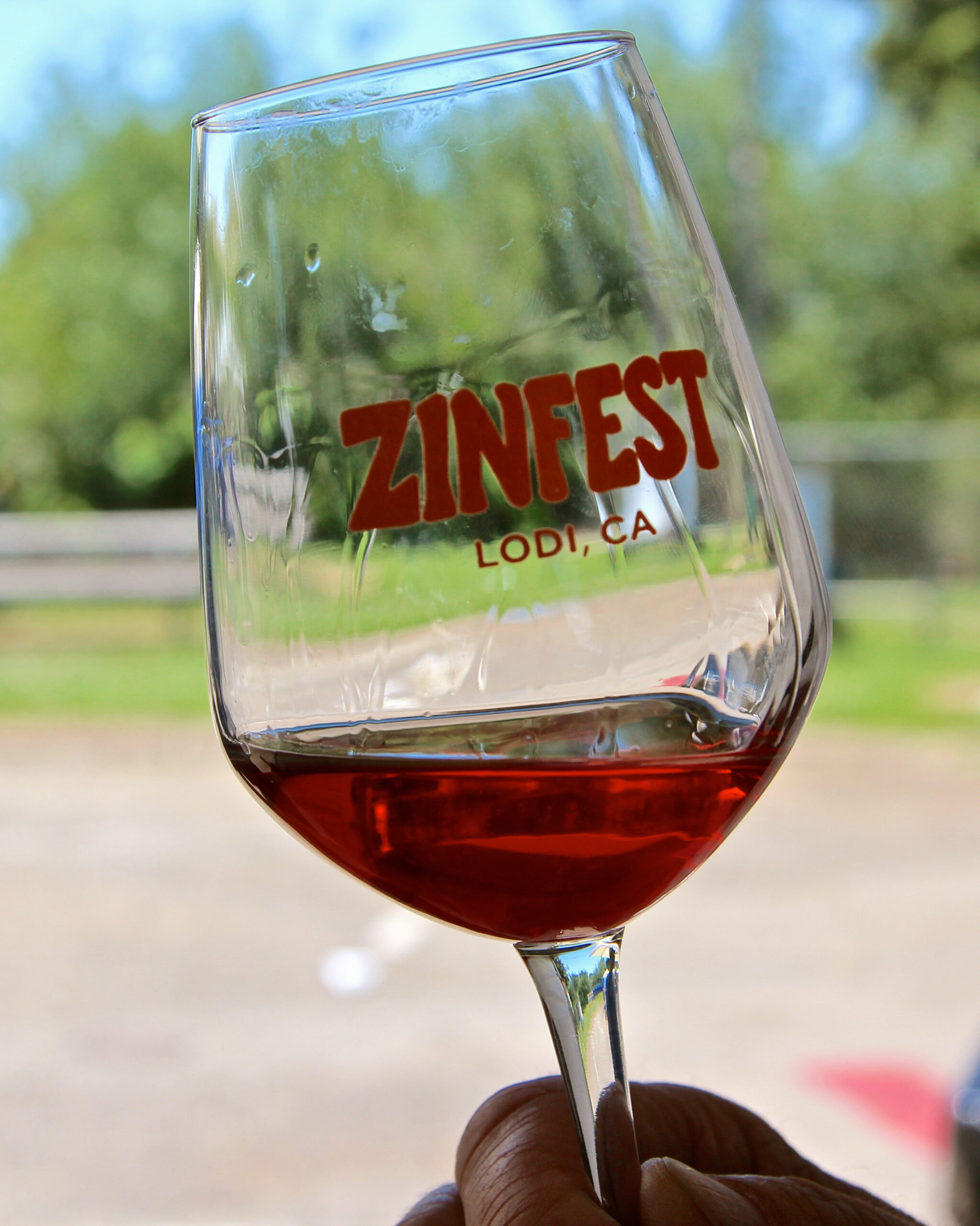 Close-up of a wine glass with ZINFEST LODI, CA logo, held outdoors with green trees in the background.