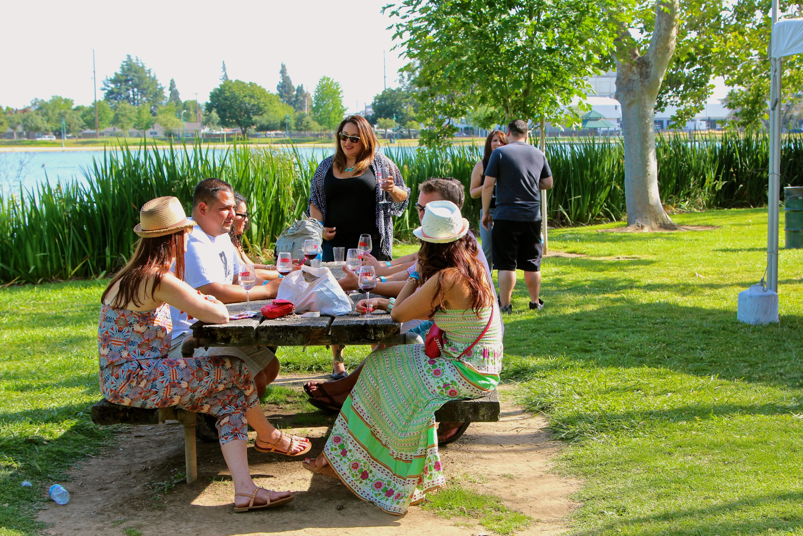 People enjoying a picnic by the lake with wine and food in a scenic outdoor setting in Lodi, California.