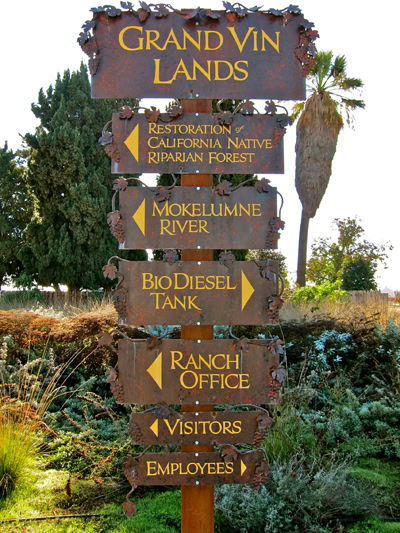 Signpost for Lodi Winegrape Commission with directions to various locations in a vineyard setting.