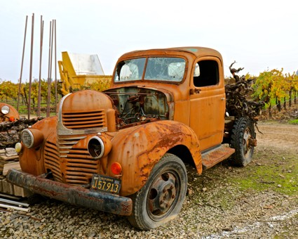 Old rusty truck in a vineyard, showcasing vintage agricultural equipment and rustic charm.
