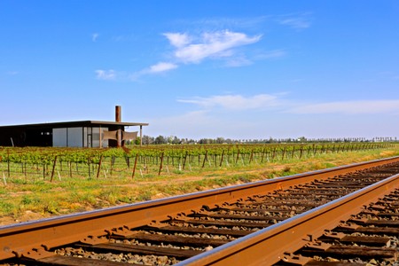 Vineyard with grapevines, modern building, and railroad tracks in Lodi, California, under a blue sky.