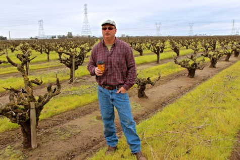 Man in vineyard holding glass of wine with rows of grapevines and power lines in background.