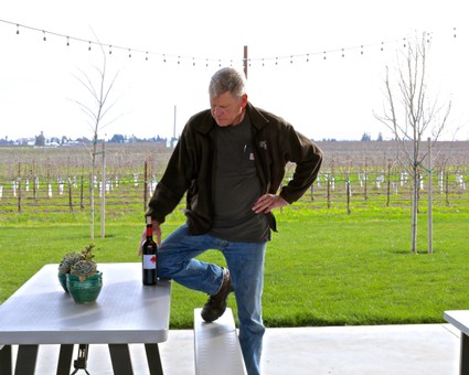 Man inspecting wine grapes in Lodi vineyard during daytime with wine bottle and table.