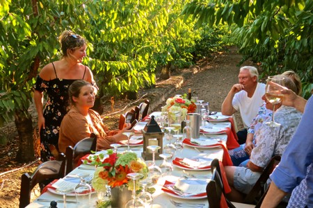 People enjoying a vineyard dinner among lush grapevines with wine glasses and floral centerpieces.