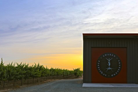 Vineyard at sunset with a building bearing the Lodi Winegrape Commission logo.