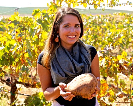 Woman holding a large grape harvest in a vineyard during daytime for Lodi Winegrape Commission.