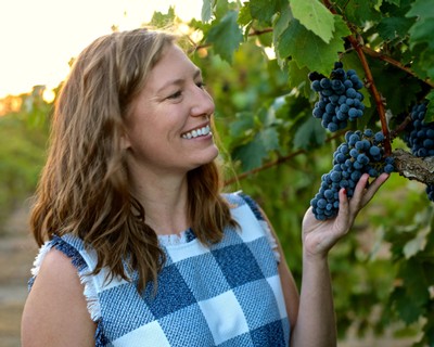 Woman inspecting ripe grapes on a vineyard vine in Lodi, California during harvest season.