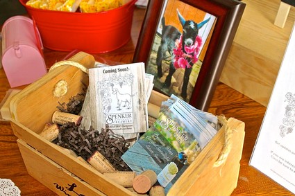 Display of wine-related materials including brochures, a framed photo, and wine corks at Lodi Winegrape Commission event.