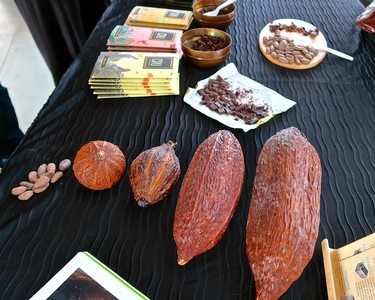 Close-up of wine grape samples, chocolate, and money on a black table for wine tasting event.