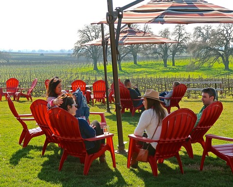 People enjoying outdoor seating at a vineyard with red chairs and umbrellas in Lodi, California.