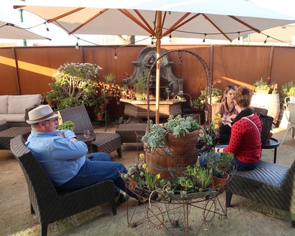 People enjoying a casual outdoor gathering with wine under umbrellas in a garden setting.