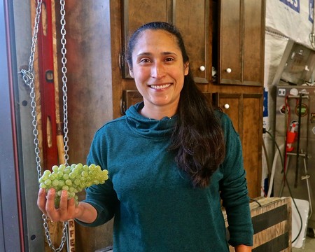 Woman holding a bunch of green grapes at Lodi Winegrape Commission event.