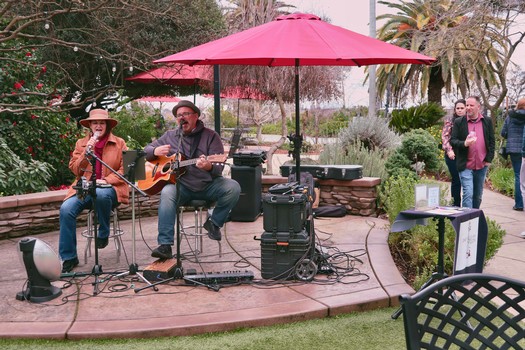 Musicians performing live with guitar and microphone under a pink umbrella at a Lodi wine event.
