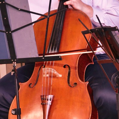 Cello player performing at a Lodi Winegrape Commission event, showcasing local wine and music culture.