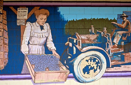 Mural depicting women harvesting grapes and using a vintage tractor in Lodi, California.