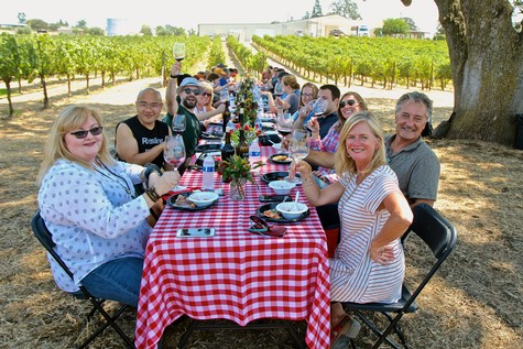 Group of people enjoying a vineyard picnic with wine and food under a tree in Lodi, California.