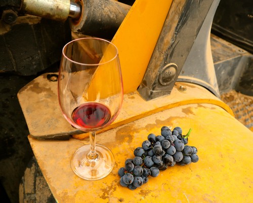 Glass of red wine with a bunch of grapes on a yellow surface, close-up view.