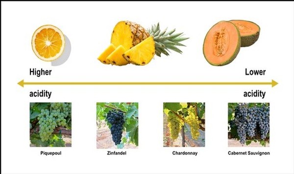 Chart showing acidity levels of grapes and fruits from high to low, including orange, pineapple, and papaya.