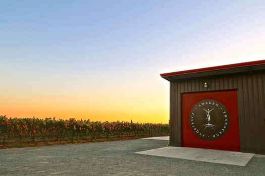 Vineyard at sunset with Lodi Winegrape Commission building in foreground.