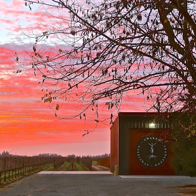 Beautiful sunset over Lodi wine country with a tree and a building featuring the Lodi Winegrape Commission logo.