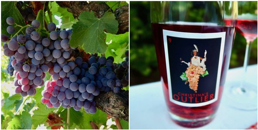 Close-up of ripe Lodi winegrapes and a glass of red wine with a label featuring a woman with grapes.
