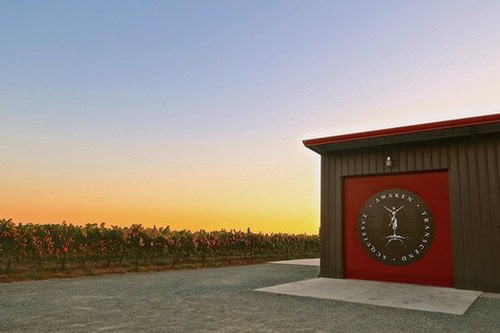 Vineyard at sunset with a building featuring a clock and Lodi Winegrape Commission logo.