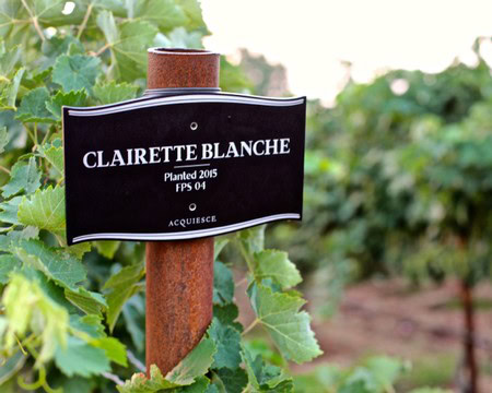 Vineyard sign for Clairette Blanche grape variety planted in 2015 in Lodi, California.