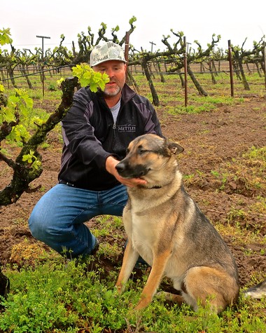 Man with dog in Lodi vineyard, showcasing grapevines and agricultural landscape.