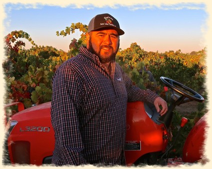 Vineyard worker standing next to a red tractor in a lush grape vineyard at sunset.