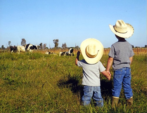 Two children in cowboy hats hold hands and watch cows grazing in a vineyard.