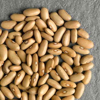 Close-up of vine seeds used for wine grape cultivation in Lodi, California.
