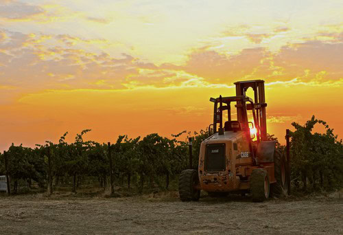 Vineyard with a forklift during sunset in Lodi, California, showcasing grape cultivation for wine production.