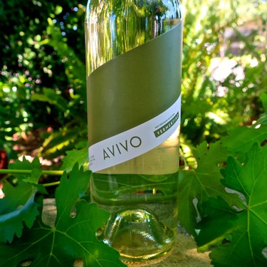Clear wine bottle labeled 'Avivo' among green grapevine leaves in sunlight.