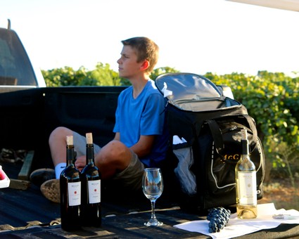 Young man sitting in vineyard with wine bottles, glass, and backpack, enjoying a wine tasting experience in Lodi.
