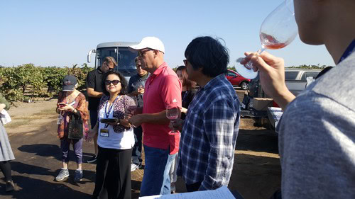 Group of people enjoying wine tasting at a vineyard with clear blue sky in Lodi, California.