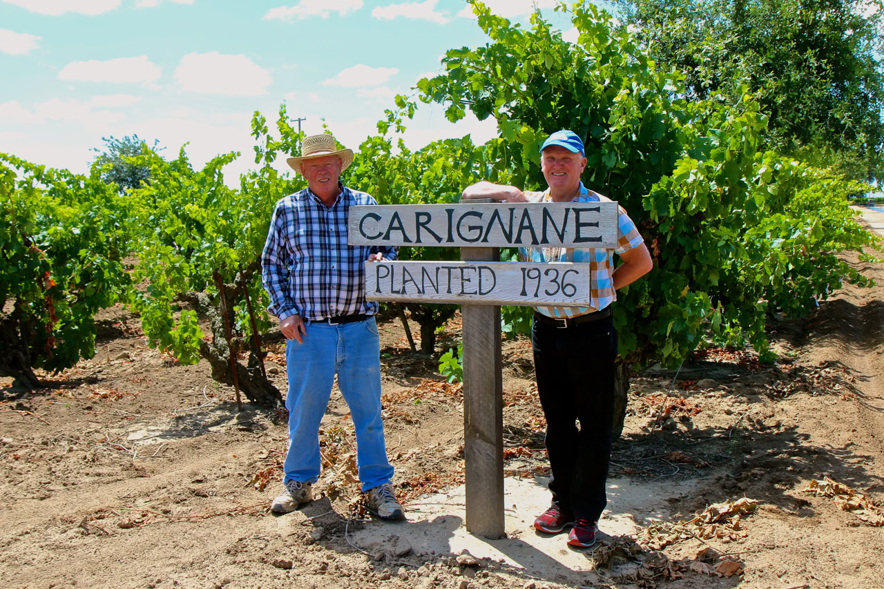 Two men in vineyard holding a sign that says 'Carignane Planted 1936' in Lodi, California.
