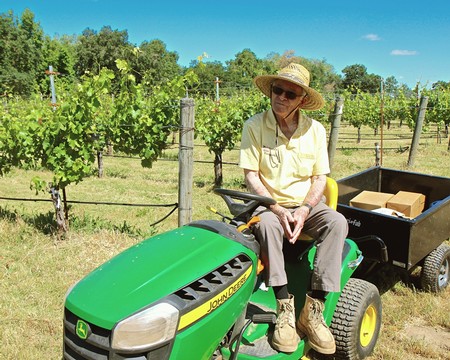 Vineyard worker on a green tractor in a Lodi wine grape vineyard under a blue sky.