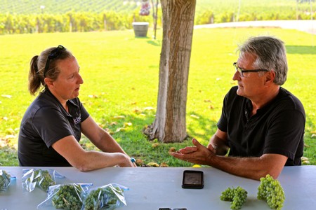 Two people having a discussion outdoors at a table with grapes and a smartphone.
