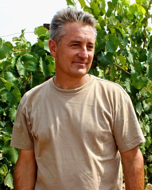 Lodi Winegrape grower inspecting grapevines in a lush vineyard setting.
