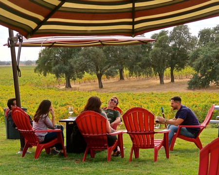 Group of people enjoying wine tasting outdoors at a vineyard with trees and grapevines in the background.
